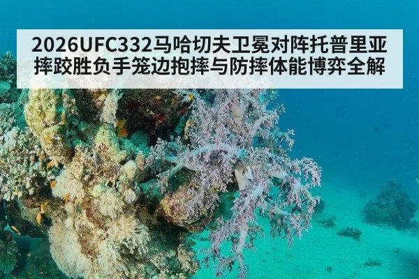 2026UFC332马哈切夫卫冕对阵托普里亚摔跤胜负手笼边抱摔与防摔体能博弈全解